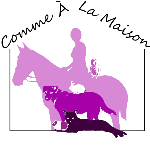 logoSansFond